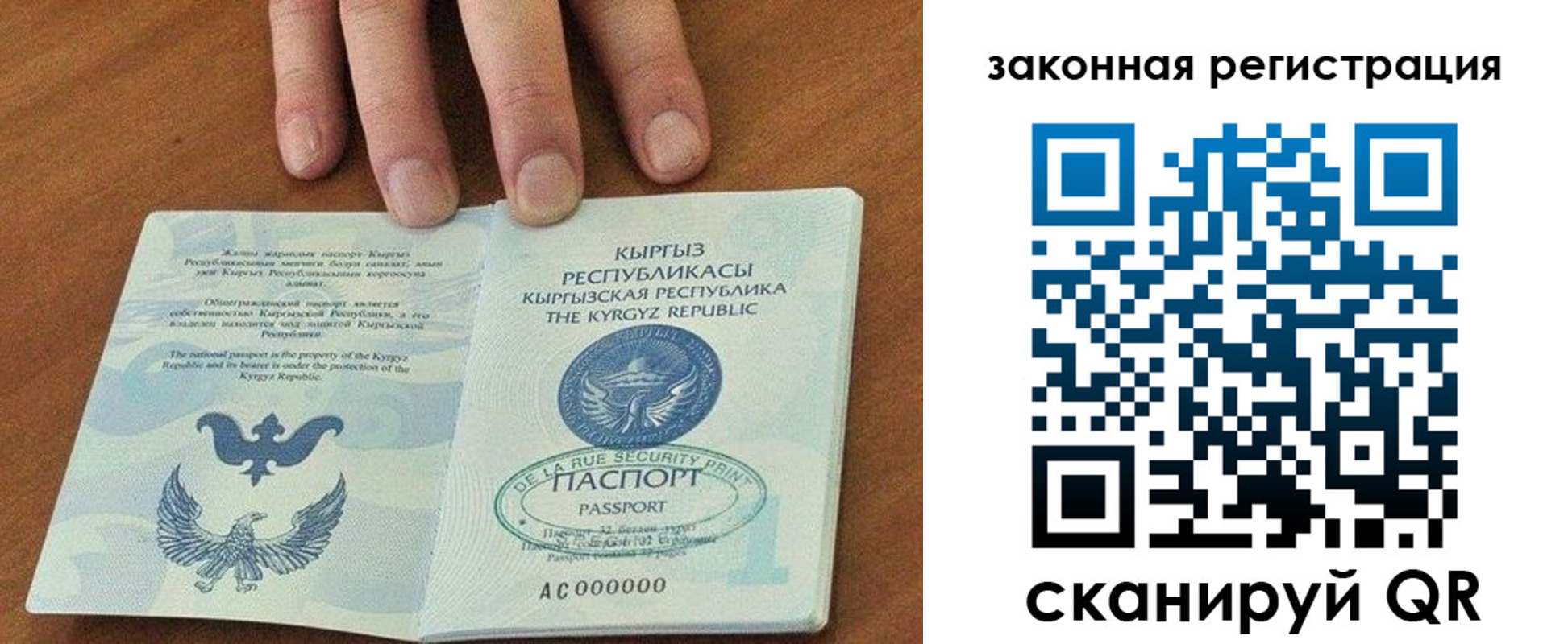 прописка гарантия в Менделеевске